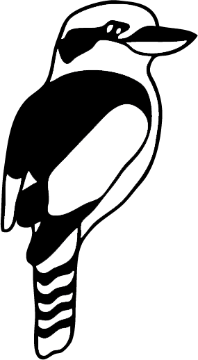 Kookabarra (Small)